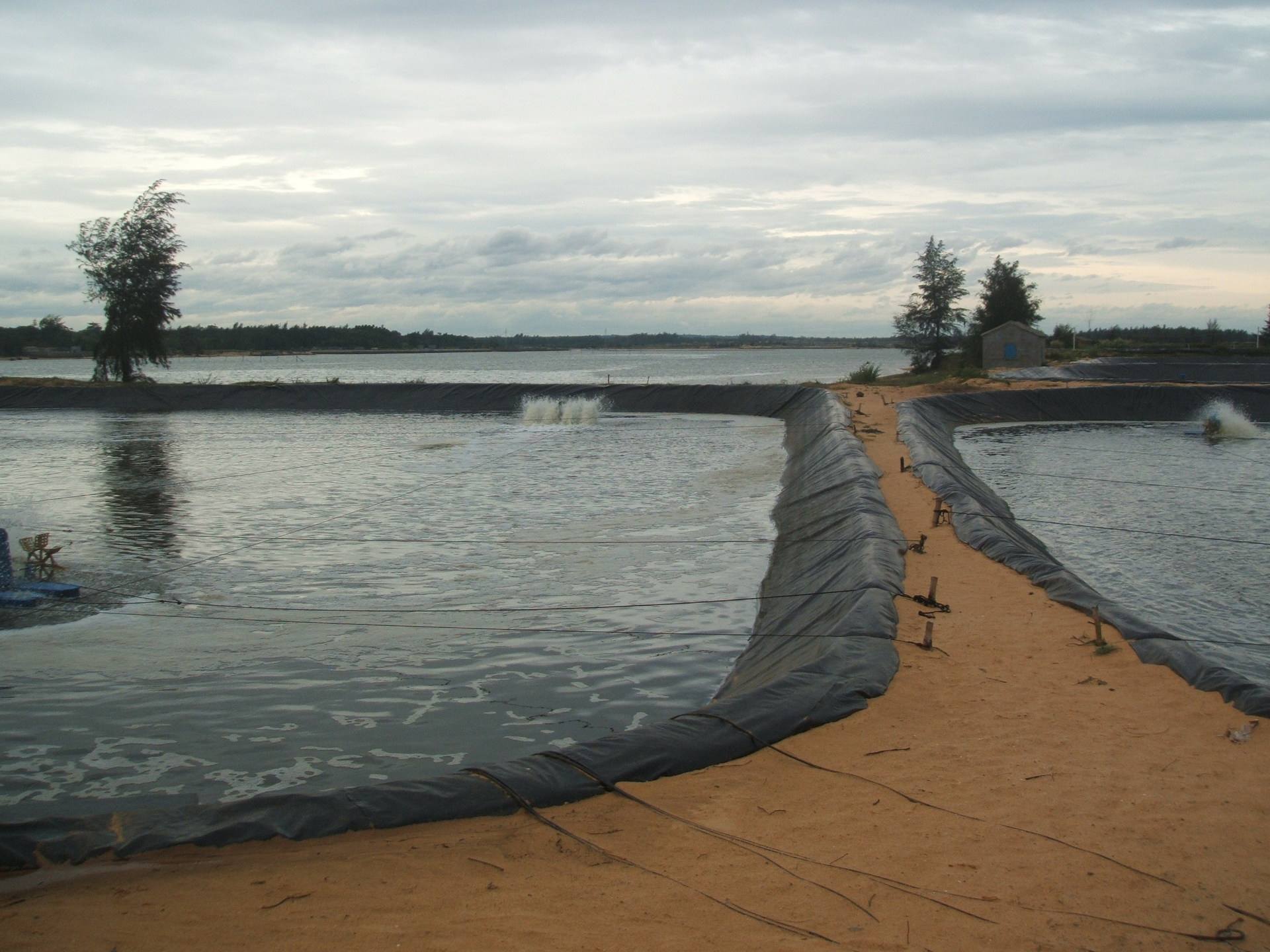 1535591093535734.jpg 1535591093535734.jpg